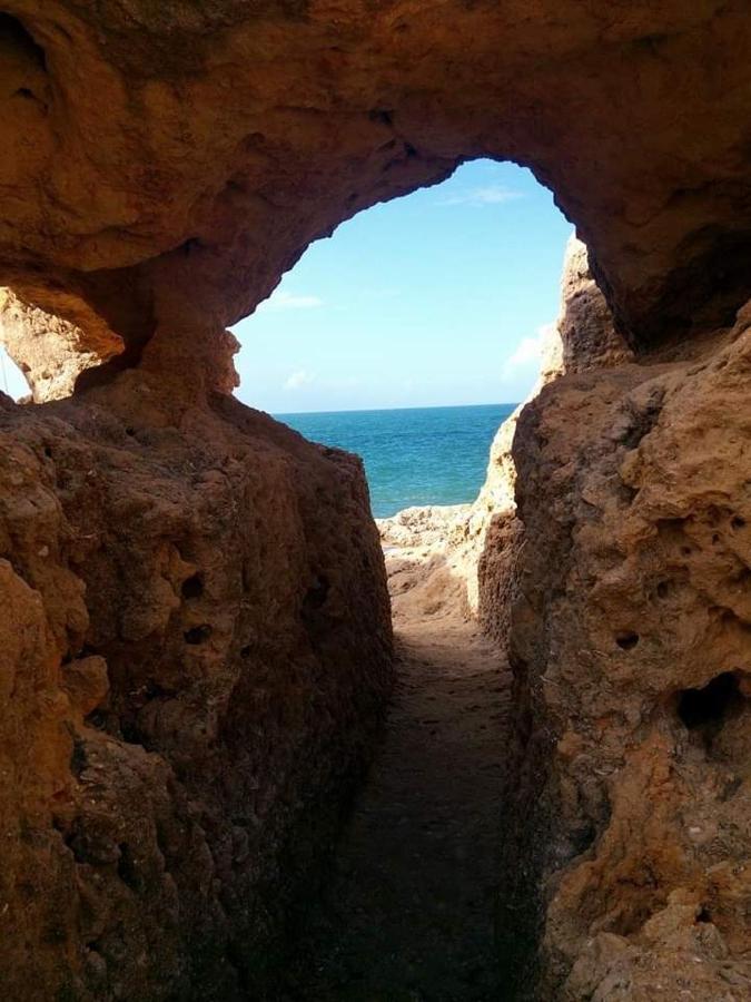 Al Algarve - Alojamento local com excelente localização Carvoeiro  Exterior foto