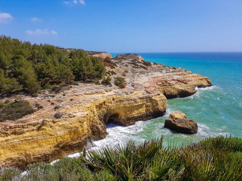 Al Algarve - Alojamento local com excelente localização Carvoeiro  Exterior foto
